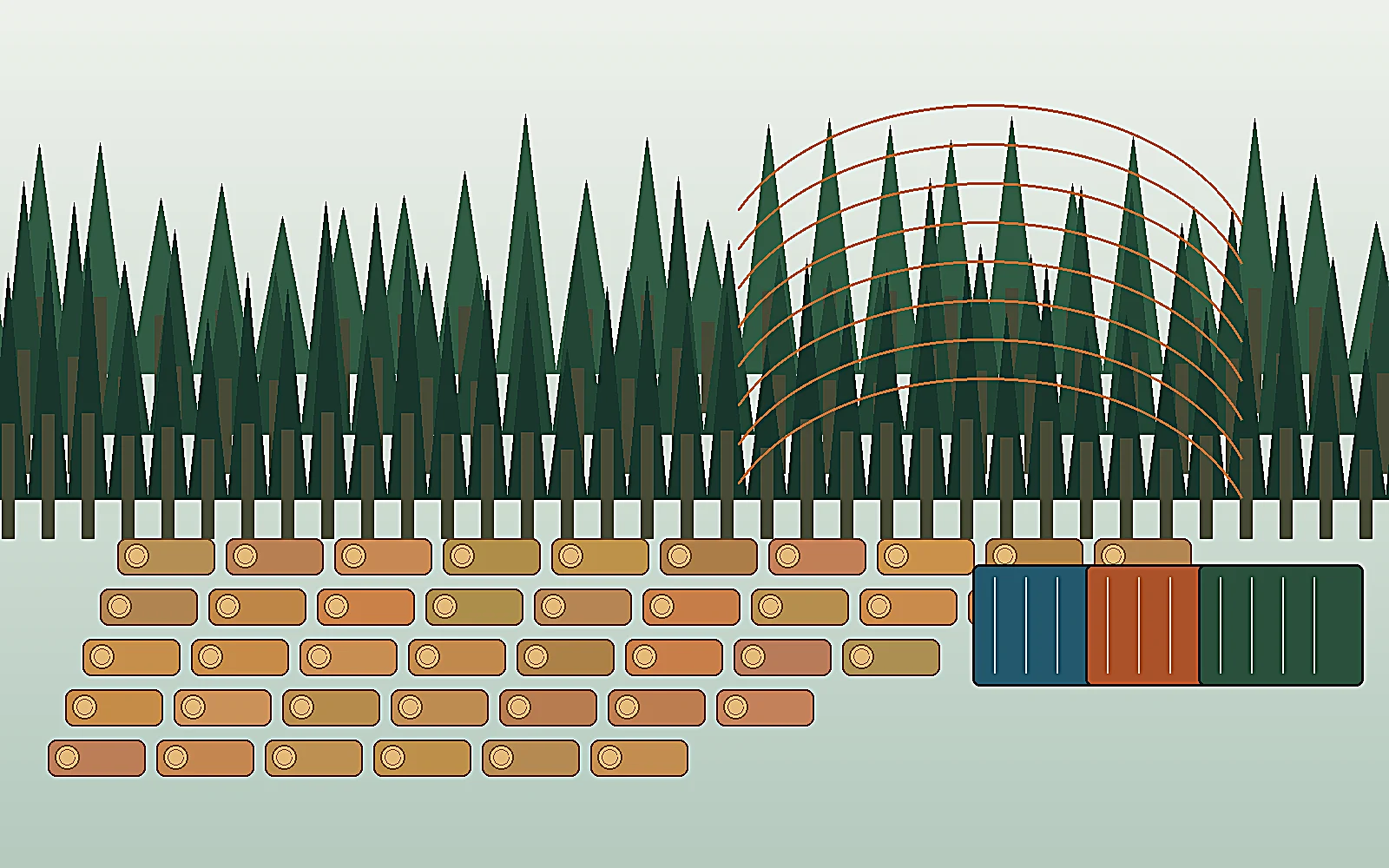 International Timber Trading, Germany-Based Coordination visual