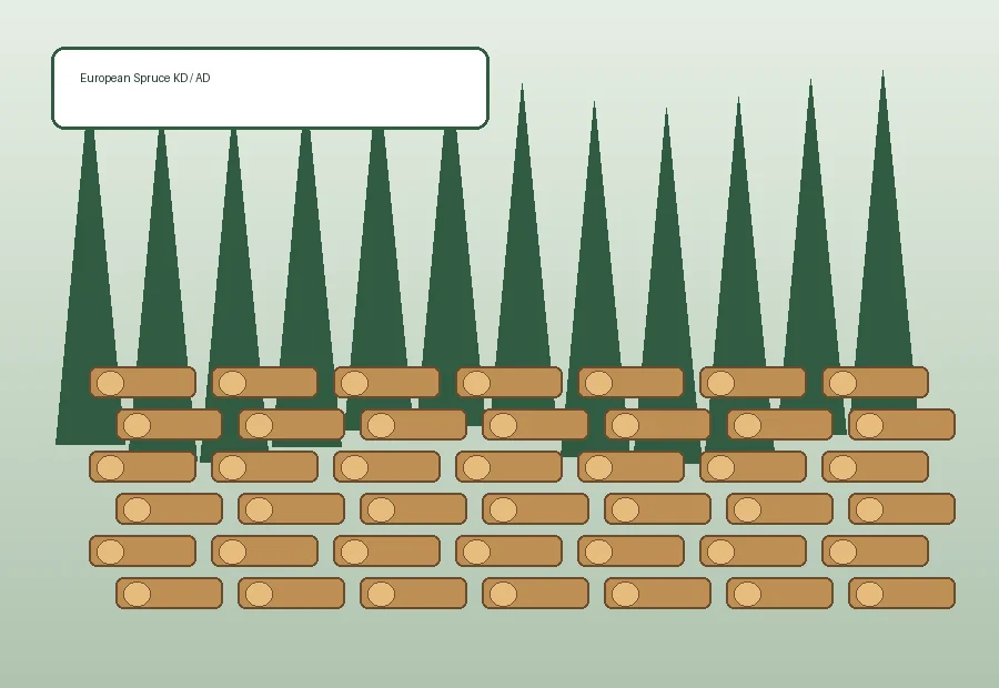 European Spruce Timber product image